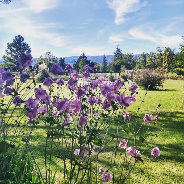 Posada Buen Camino Hotel Nono Kültér fotó